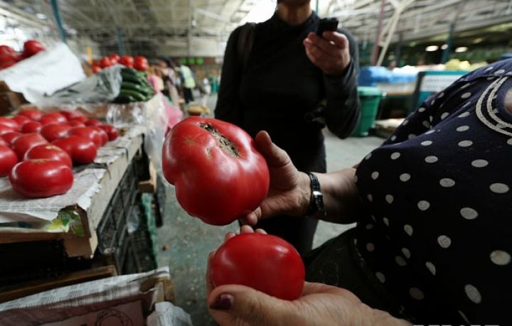 "GMO ilə orqanik məhsul eyni qiymətə satılır"