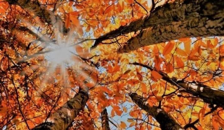 Dekabr ayının hava proqnozu açıqlandı