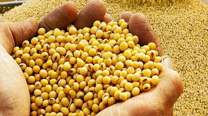 Çin ABŞ-dan 5 milyon ton soya alacaq