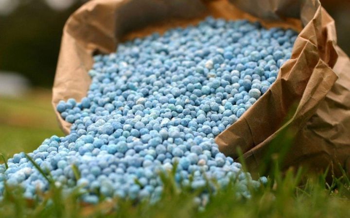 “Aqroservis” mineral gübrələrin səyyar satışına başladı