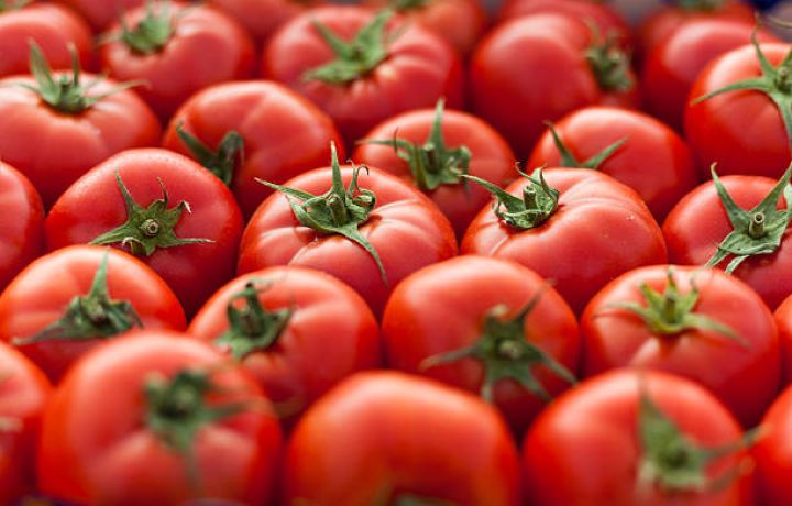 Azərbaycandakı pomidor bizneslərinin ixrac gəliri azalıb