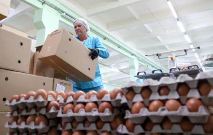 Azərbaycan istehsalı toyuq yumurtalarının Rusiyaya daşınmasına başlanır