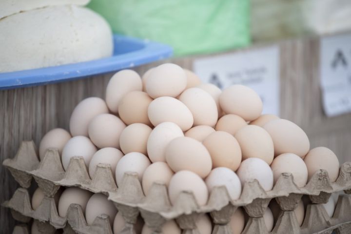 Quşçuluq şirkətləri: Yumurtanın bayramqabağı bahalaşdırılması bizlik deyil