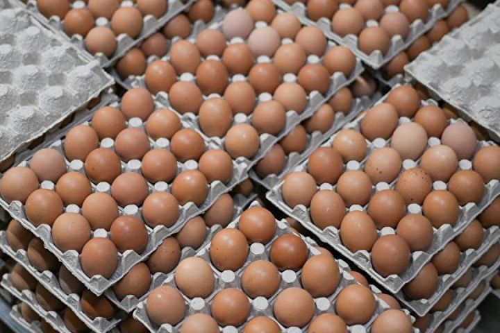 Azərbaycan yanvarın 14-dək Rusiyaya 2,1 milyon ədəd yumurta tədarük edib