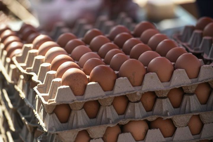 Rusiya Azərbaycandan yeni yumurta partiyası alıb
