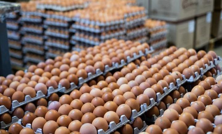 Azərbaycandan yumurtaların Rusiyaya daşınması davam edir -  1,8 milyon ədədə çatıb