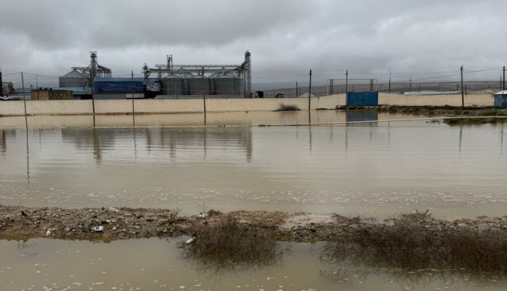 "Sitalçayda acınacaqlı vəziyyət - quşçuluq təsərrüfatları fəaliyyətlərini dayandırmaq üzrədilər"