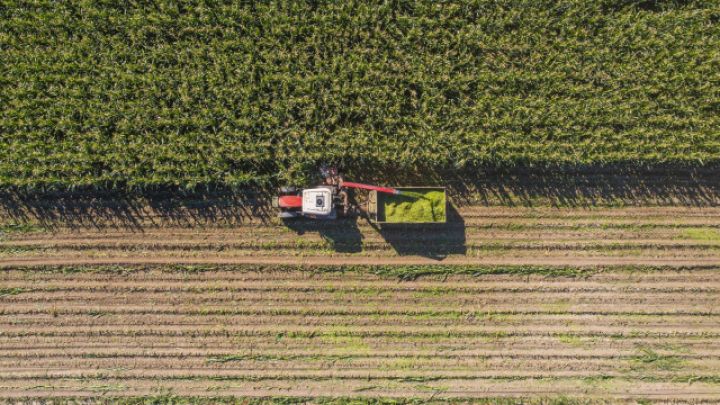 Qlobal ərzaq qiymətləri 5 aydan sonra yenidən artıb