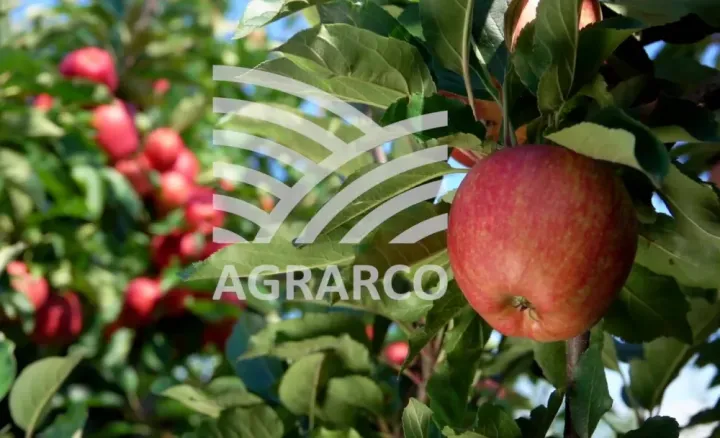 "Agrarco" şirkətinin ixrac gəliri 5 dəfəyə yaxın artıb